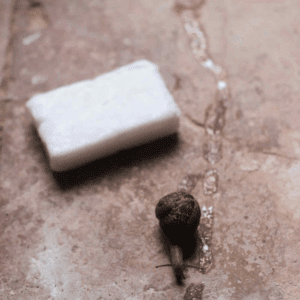 Savon d'escargot -Dialala-Cosmétique et rituels du Maroc